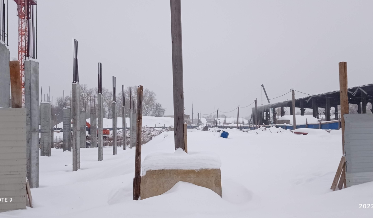 Январь 2022 г.