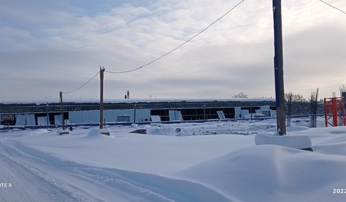 Январь 2022 г.